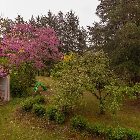 Lou Pastellou, Maison Rustique Independant, Avec Jardin, Ideal Familles, Proche Centre De Figeac